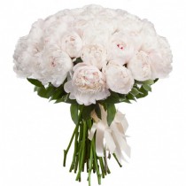 Seventeen white peonies